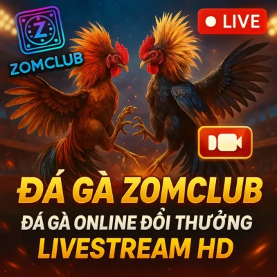 Đá Gà ZomClub – Đá Gà Online Đổi Thưởng, Livestream HD Đá Gà ZomClub – Đá Gà Online Đổi Thưởng, Livestream HD