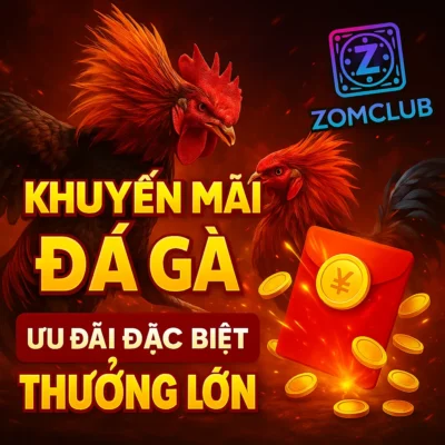 Khuyến Mãi Đá Gà ZomClub – Ưu Đãi Đặc Biệt, Thưởng Lớn