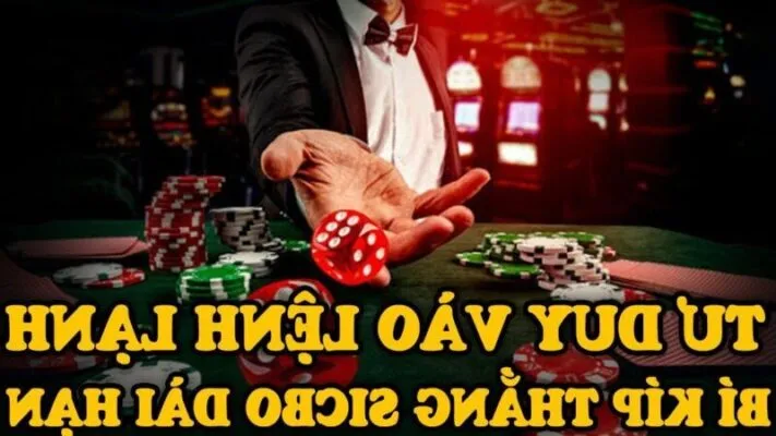 Cách Soi Cầu Tài Xỉu Chuẩn Xác 2025 | Bí Quyết Bắt Cầu Thắng Lớn Tại ZomClub