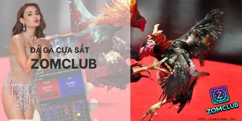 Đá gà cựa sắt ZomClub xem trận nhanh – kèo rõ – thao tác đặt cược thuận tiện trên điện thoại.