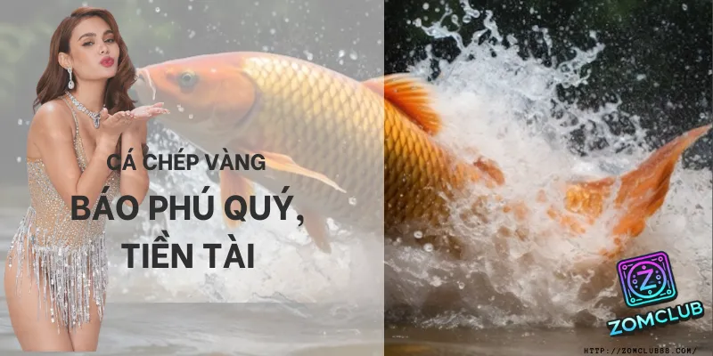 Mơ thấy cá chép vàng