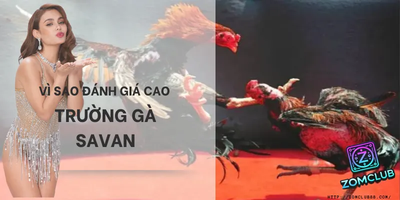 Những yếu tố giúp trường gà Savan được cộng đồng đá gà khu vực đánh giá cao.