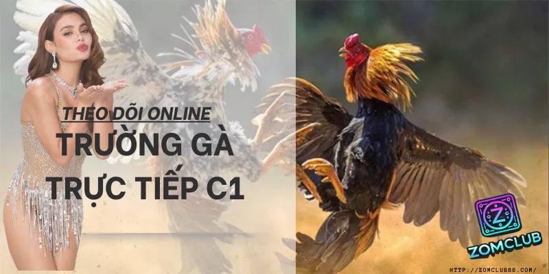 Theo dõi đá gà trực tiếp C1 online ưu tiên kỷ luật vốn, tránh quyết định theo cảm xúc.
